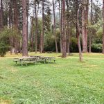 Union, OR 9 A grassy park area with tall pine trees, several empty picnic tables, and lush green surroundings under an overcast sky.
