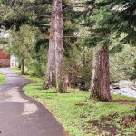 Union, OR 23 A paved path curves through a grassy park lined with tall trees. A small river flows to the right, and a brick building is visible in the background. Lamp posts line the path under a cloudy sky.