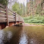 Union, OR 10 A wooden footbridge crosses over a clear, shallow stream surrounded by lush green trees and foliage in a forested area.