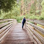 Union, OR 12 A woman wearing blue stands on a wooden bridge in a lush, green forest, looking over the railing at a stream below. The scene is peaceful and surrounded by tall trees.