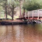 Union, OR 8 A wooden footbridge crosses over a clear, shallow stream surrounded by lush green trees and a grassy area with a picnic table in the background.