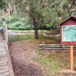 Union, OR 11 A wooden bridge leads over a stream in a forested area. A trail map on a red signboard stands near the bridge, surrounded by green trees, grass, and a rustic wooden fence.